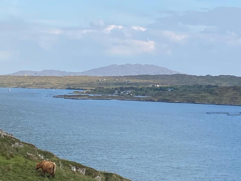 Racecourse Lodge Apartment Clifden Extérieur photo